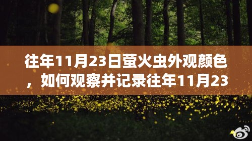 详细步骤指南，观察并记录往年11月23日萤火虫外观颜色的方法与技巧