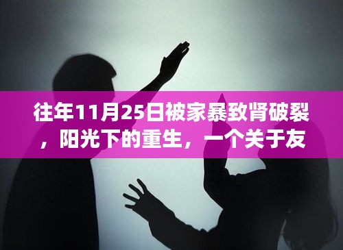 阳光下的重生，友情、家庭与希望的温馨故事——战胜家暴阴霾，迎接新生篇章