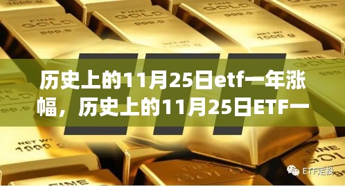 历史上的11月25日ETF一年涨幅，学习之旅中的成就与自信之源