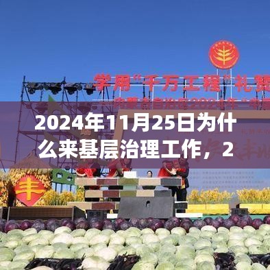 2024年11月25日为什么来基层治理工作，2024年11月25日深入基层治理工作的意义与行动