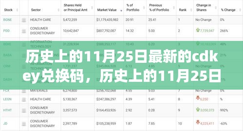 历史上的11月25日CDKEY兑换码诞生与影响回顾，最新兑换码揭秘