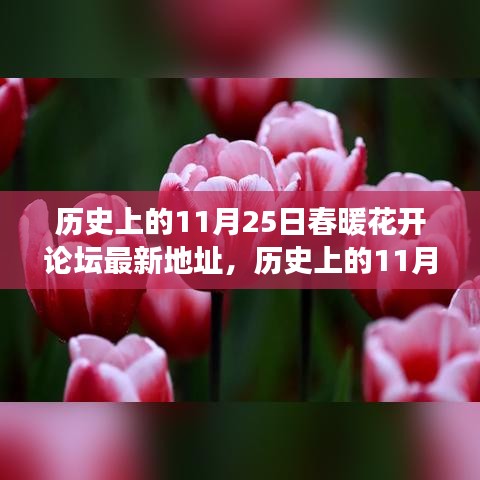 历史上的11月25日，春暖花开论坛的新征程与成就感的源泉，学习改变命运之路探索论坛最新地址分享