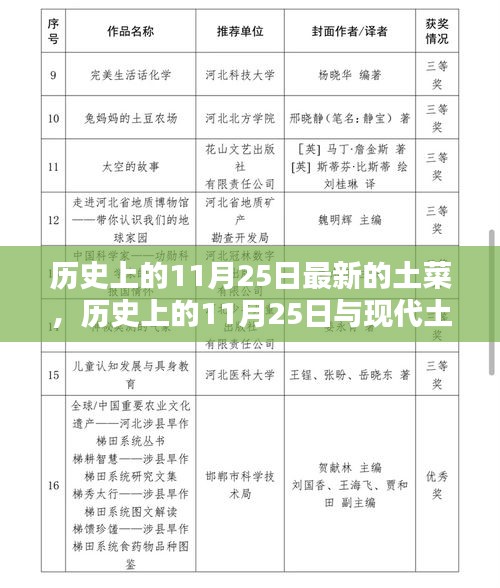 历史上的11月25日与现代土菜风潮，深度探讨与观点阐述