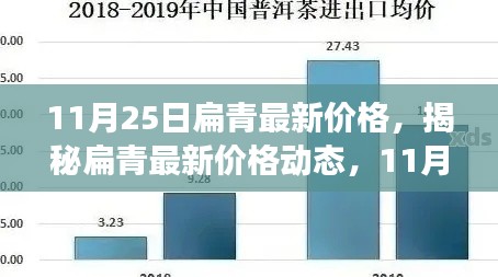 揭秘扁青最新价格动态，行业洞察与趋势分析（11月25日）