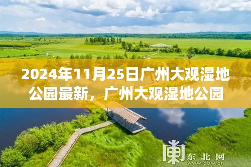 广州大观湿地公园未来展望，揭秘崭新篇章与未来展望（2024年11月25日）