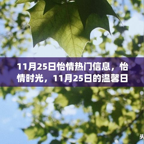 11月25日怡情时光，温馨日常故事与热门信息汇总