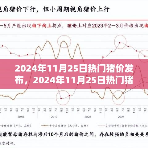 2024年11月25日热门猪价发布深度评测与介绍