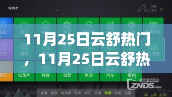 11月25日云舒热门，全面评测与深度介绍