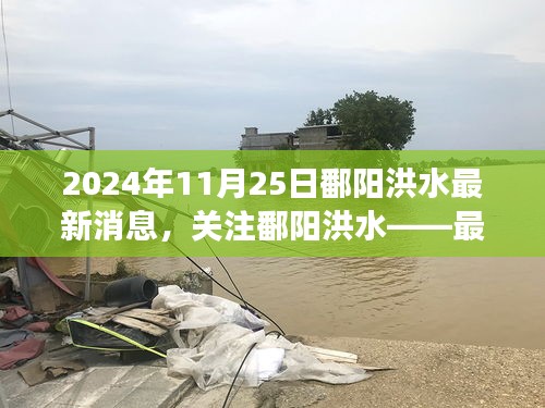 鄱阳洪水最新消息（2024年11月25日版），关注与解读