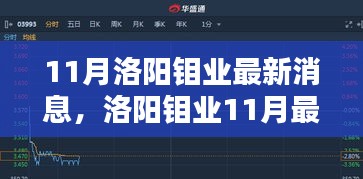 11月洛阳钼业最新消息与评测，特性、用户体验及竞品对比