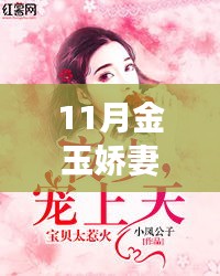 11月金玉娇妻最新章节，网络文学中的情感表达与个人立场探讨