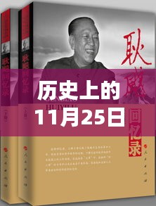 刘老师因果法则深度解析，历史上的11月25日特别课程