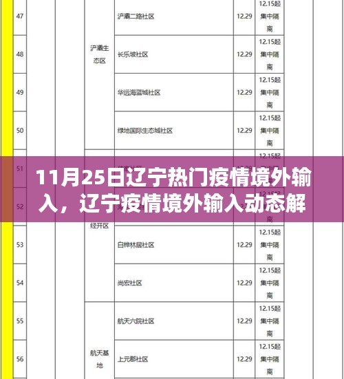 辽宁疫情境外输入动态解析，聚焦要点深化理解（以11月25日为例）