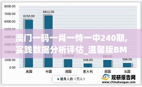 澳门一码一肖一恃一中240期,实践数据分析评估_温馨版BMK7.37