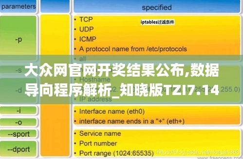 大众网官网开奖结果公布,数据导向程序解析_知晓版TZI7.14