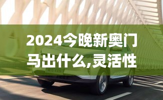 2024今晚新奥门马出什么,灵活性执行方案_家居版PDK7.55