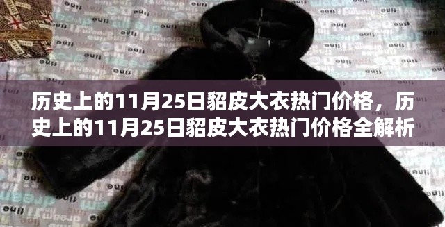 历史上的11月25日貂皮大衣热门价格解析与入门指南