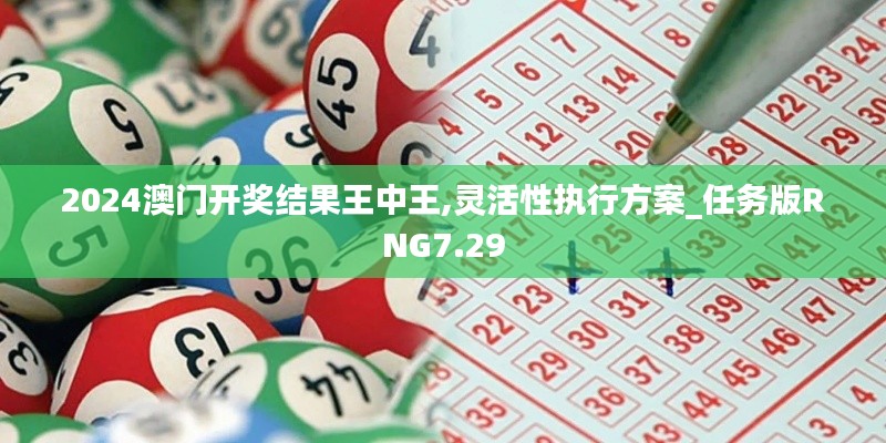 2024澳门开奖结果王中王,灵活性执行方案_任务版RNG7.29