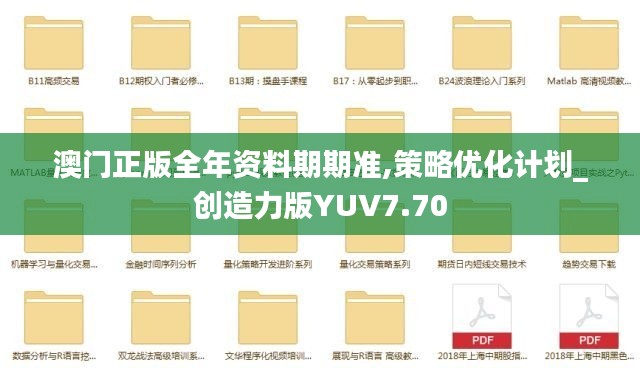 澳门正版全年资料期期准,策略优化计划_创造力版YUV7.70