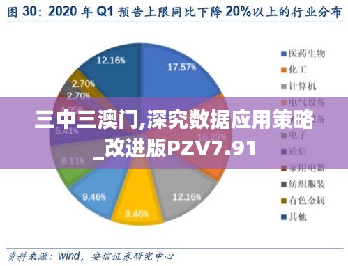 三中三澳门,深究数据应用策略_改进版PZV7.91