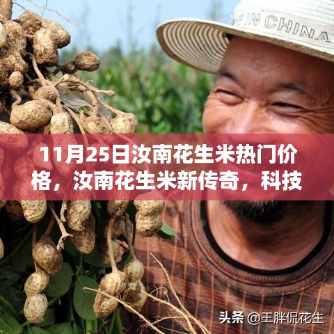 汝南花生米新传奇，科技重塑价格与体验，引领智能生活新纪元