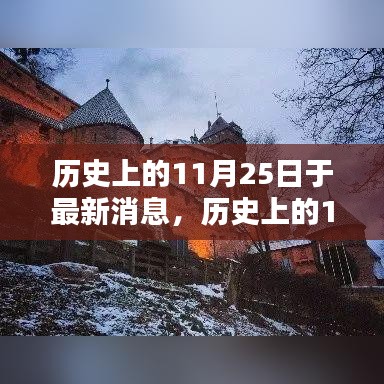 历史上的11月25日深度探索与学习，如何完成一项历史任务深度解析