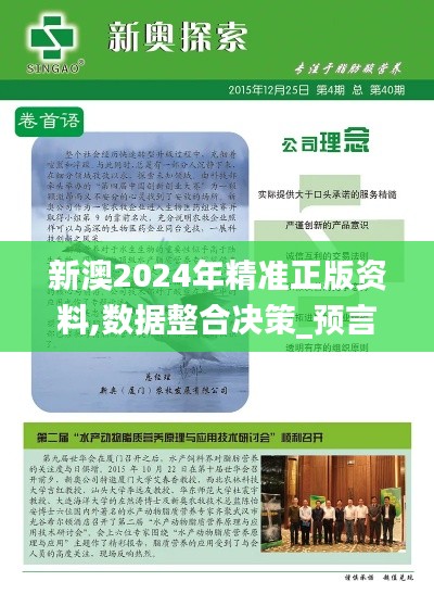 新澳2024年精准正版资料,数据整合决策_预言版WKB7.88