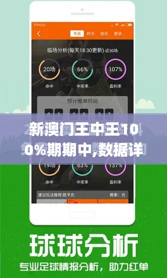 新澳门王中王100%期期中,数据详解说明_启动版QVS7.1