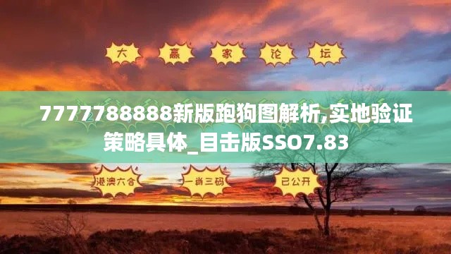 7777788888新版跑狗图解析,实地验证策略具体_目击版SSO7.83