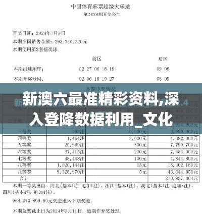 新澳六最准精彩资料,深入登降数据利用_文化版NMY7.43