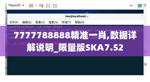 7777788888精准一肖,数据详解说明_限量版SKA7.52