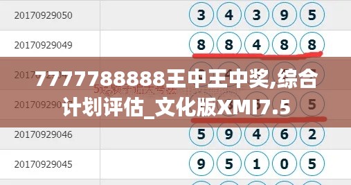 7777788888王中王中奖,综合计划评估_文化版XMI7.5