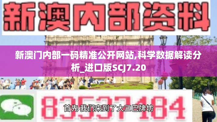 新澳门内部一码精准公开网站,科学数据解读分析_进口版SCJ7.20