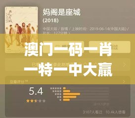 澳门一码一肖一特一中大羸家,实践调查说明_极速版SLX7.78