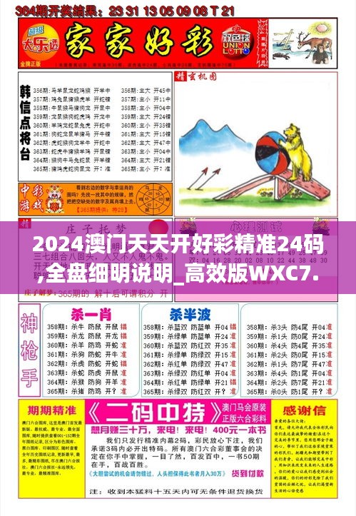 2024澳门天天开好彩精准24码,全盘细明说明_高效版WXC7.9