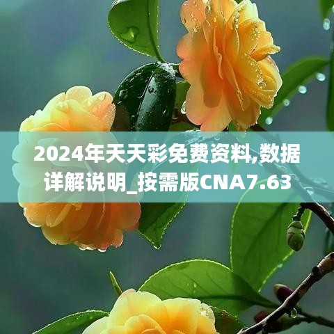 2024年天天彩免费资料,数据详解说明_按需版CNA7.63