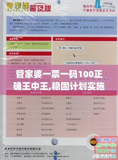 管家婆一票一码100正确王中王,稳固计划实施_知晓版DGR7.22