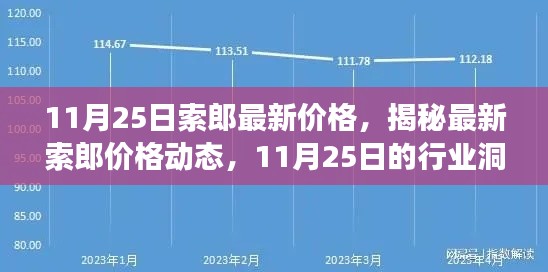 揭秘索郎最新价格动态，行业洞察与趋势分析（11月25日）