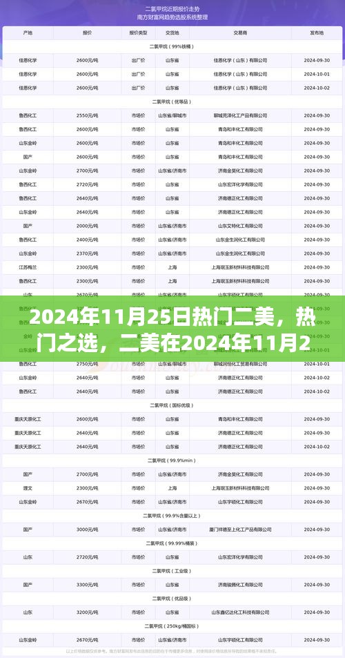 二美独特魅力闪耀2024年11月25日，热门之选