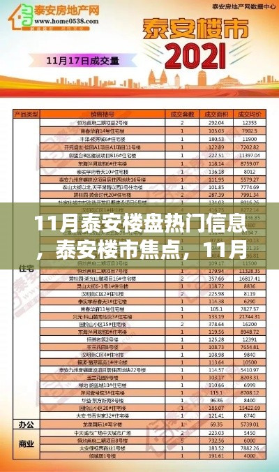 泰安楼市焦点解析，11月热门楼盘信息深度探讨与观点碰撞