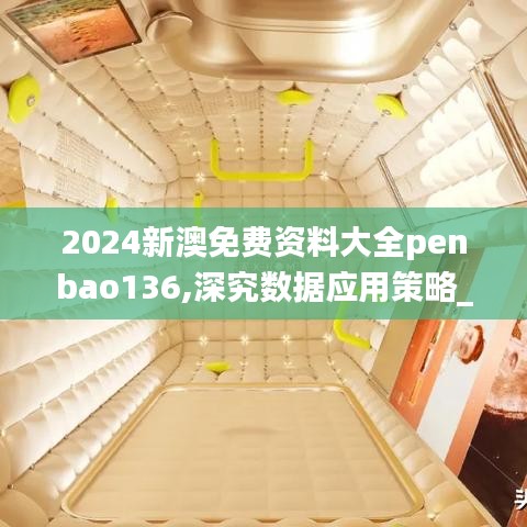 2024新澳免费资料大全penbao136,深究数据应用策略_旅行者特别版DRX7.98