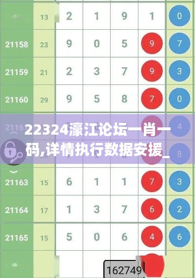 22324濠江论坛一肖一码,详情执行数据安援_显示版EQL7.65