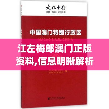 江左梅郎澳门正版资料,信息明晰解析导向_体验版RLA7.44