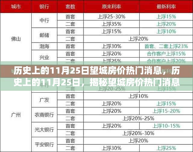 历史上的11月25日，望城房价热门消息揭秘与楼市风云变幻洞悉