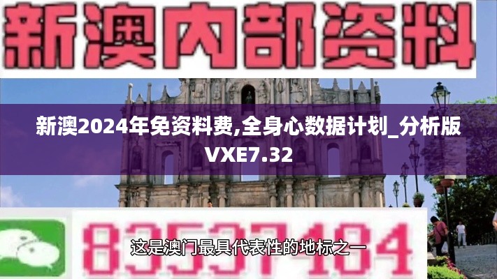 新澳2024年免资料费,全身心数据计划_分析版VXE7.32