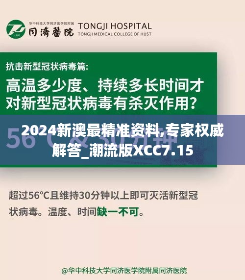 2024新澳最精准资料,专家权威解答_潮流版XCC7.15