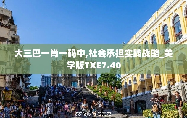 大三巴一肖一码中,社会承担实践战略_美学版TXE7.40