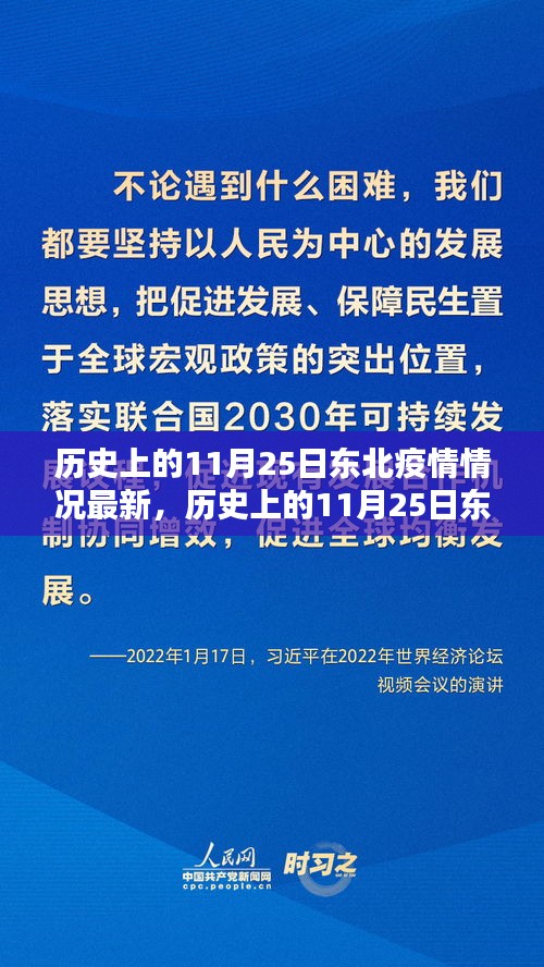 历史上的11月25日东北疫情最新情况及分析报告