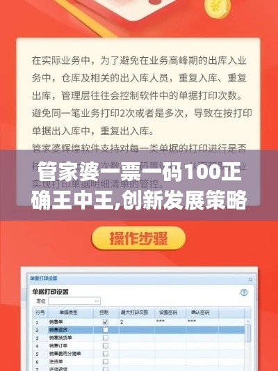 管家婆一票一码100正确王中王,创新发展策略_无限版GRI7.86