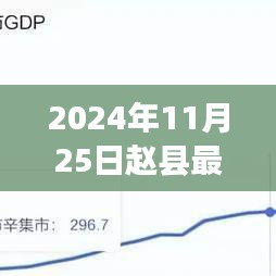 赵县最新消息获取指南，2024年11月25日版更新速递